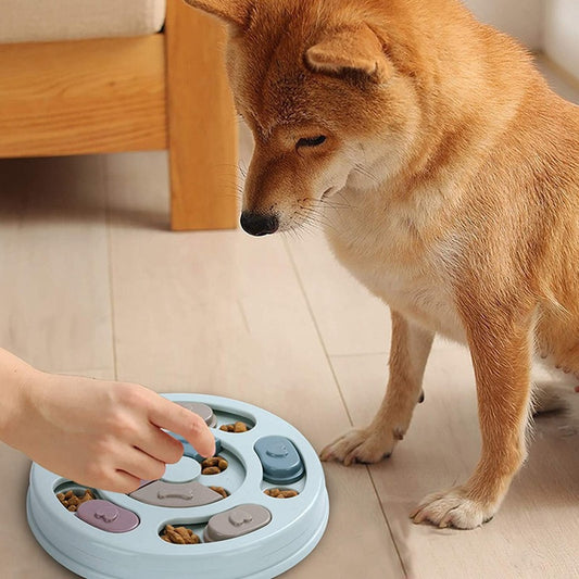 Juguete buscador de comida para perros