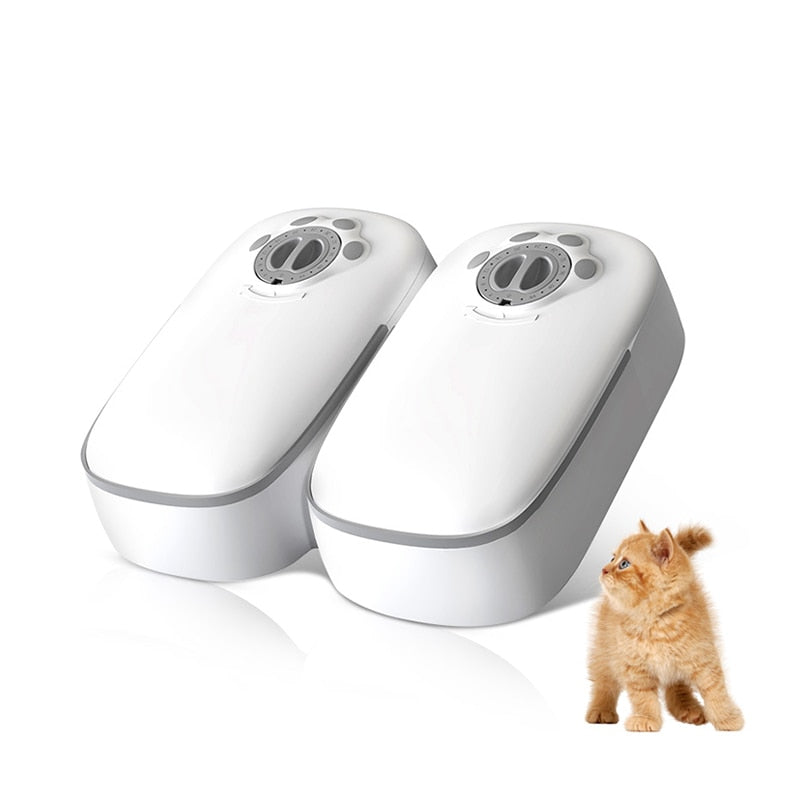 Dispensador de comida automático para gatos