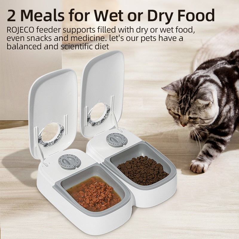 Dispensador de comida automático para gatos